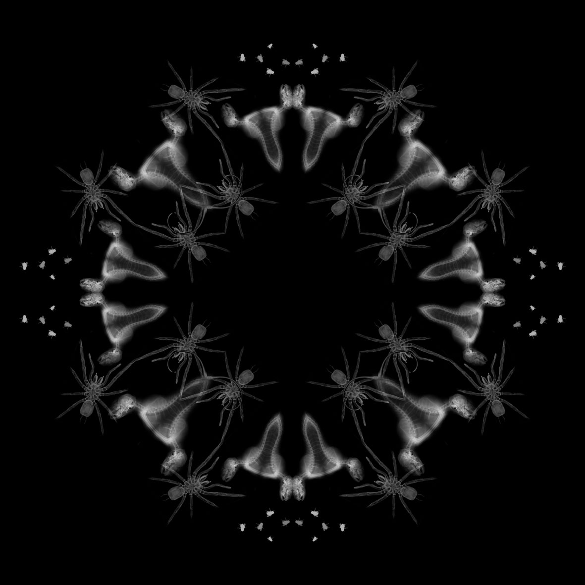 Nimis 12, too much, over much, excessively