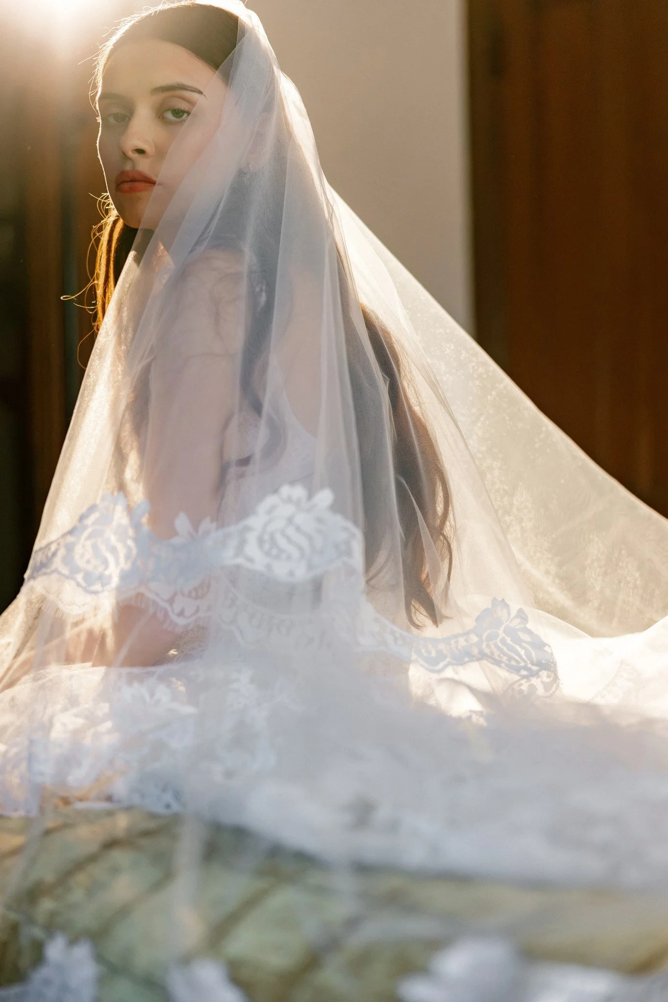 sybylla-veil-white-lace-trim-backlit-side-view.jpg.jpg