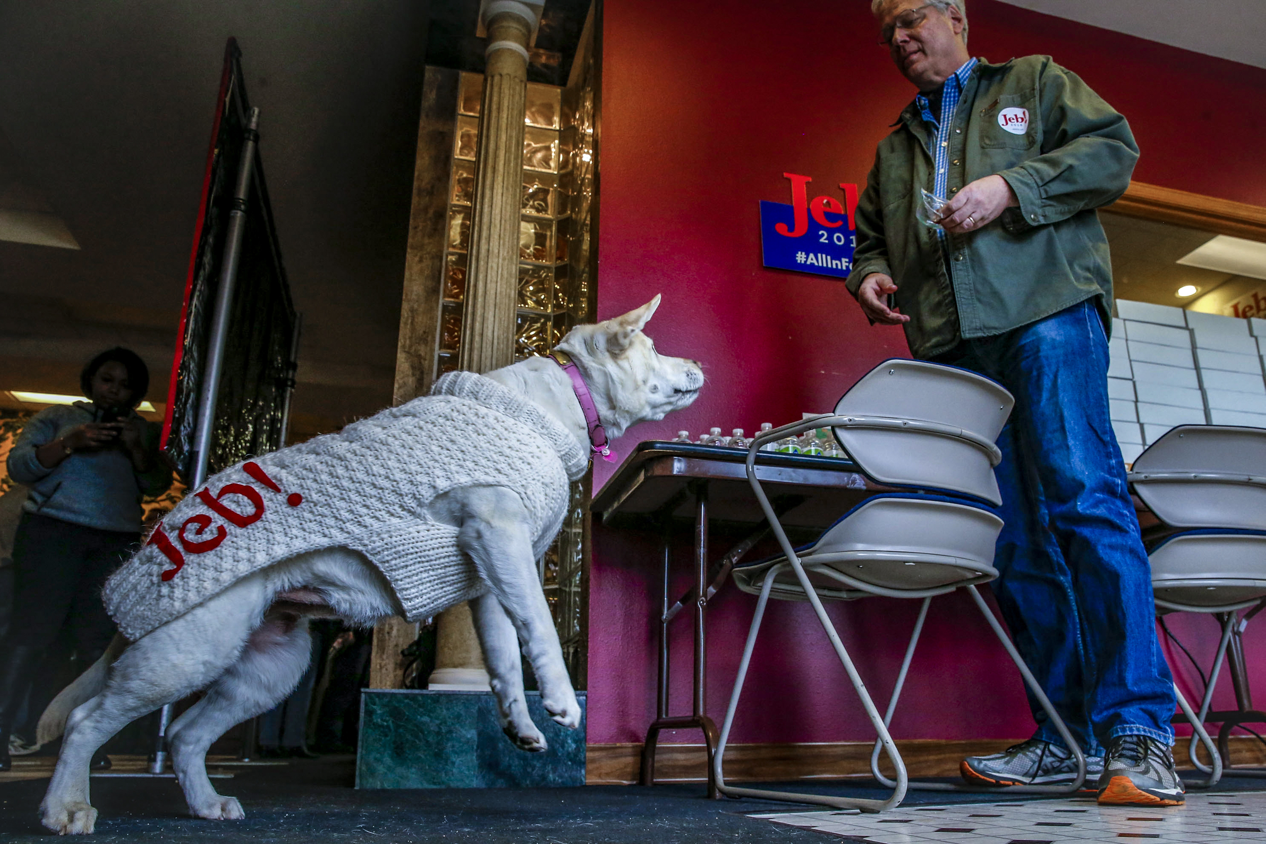Volunteer Mark Rovinski of Springfield, Pennsylvania tosses a bacon treat for his yellow lab, Halley, before an event for presidential candidate Jeb Bush at the campaign's Cedar Rapids, Iowa, field office, Sunday, Jan. 31, 2016. The former Florida Governor made the stop in Cedar Rapids to deliver a brief speech and meet potential caucus goes the day before the Iowa Caucus.