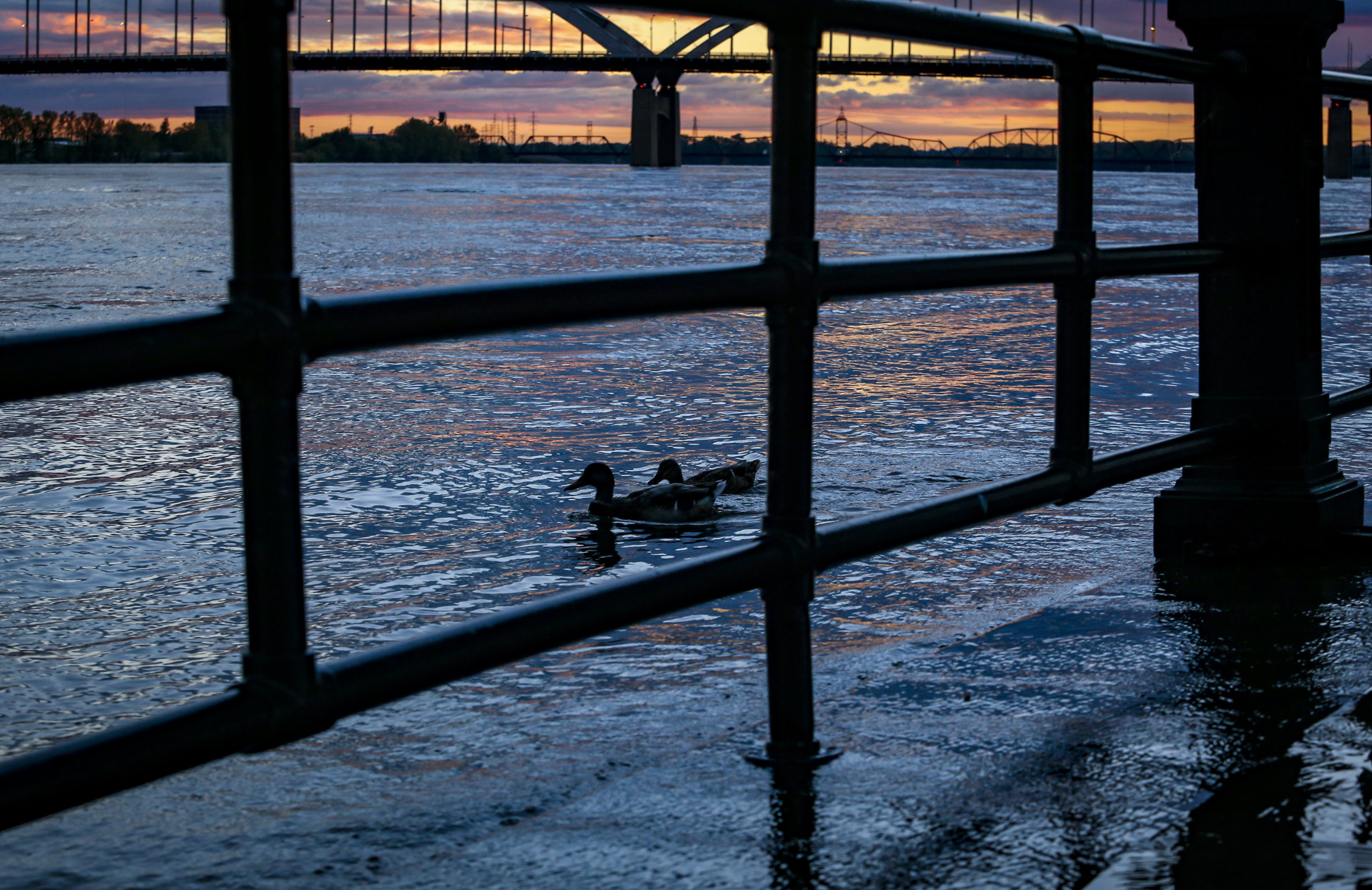 GreatRiver_015.jpg