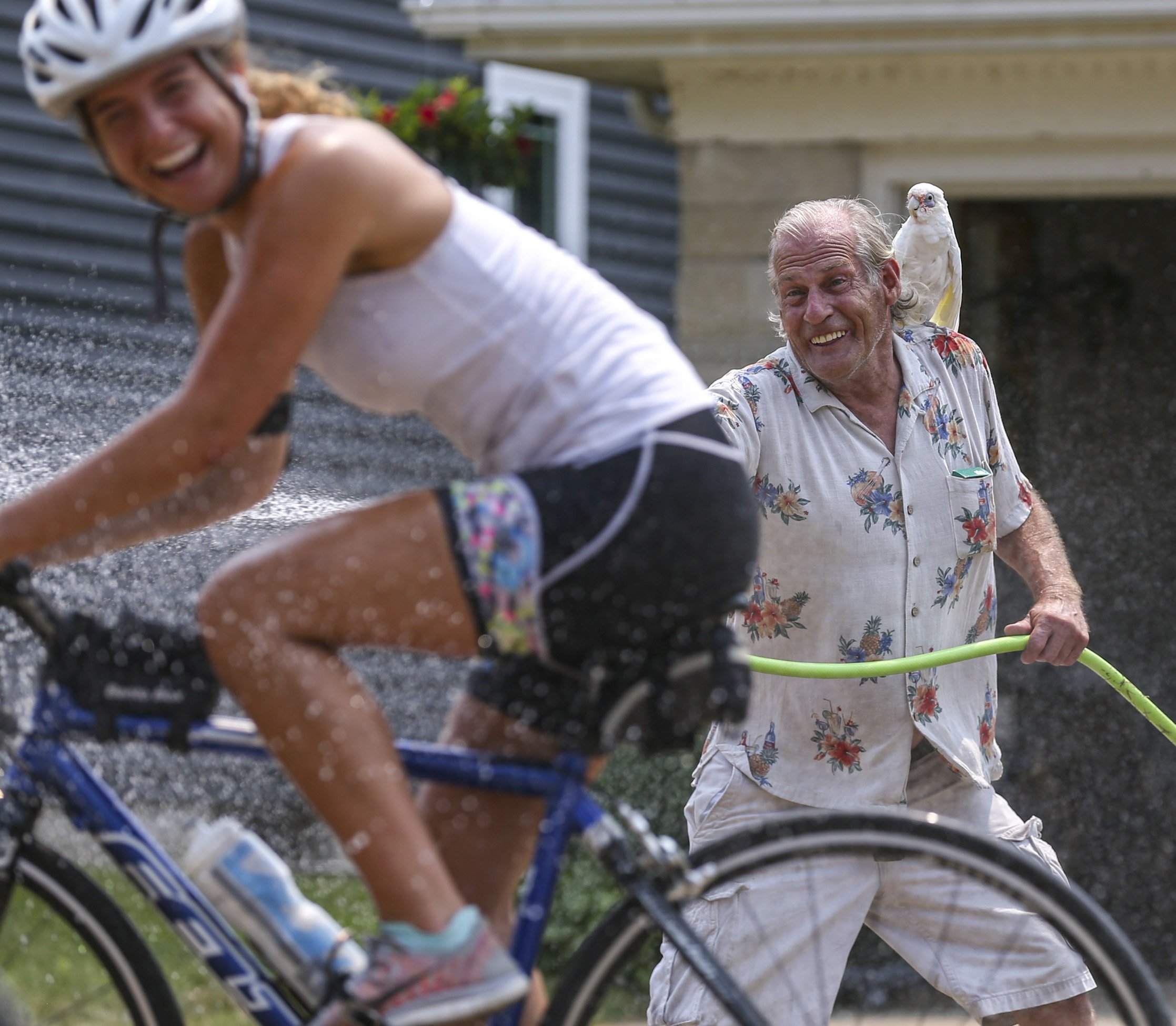  Steve Lawrence of Central City stands in his front yard to spray RAGBRAI riders with water to cool them down as his bare-eyed cockatoo, Leuchen, rests on his shoulder in Central City on Thursday. Lawrence took the day off work and had a few friends 