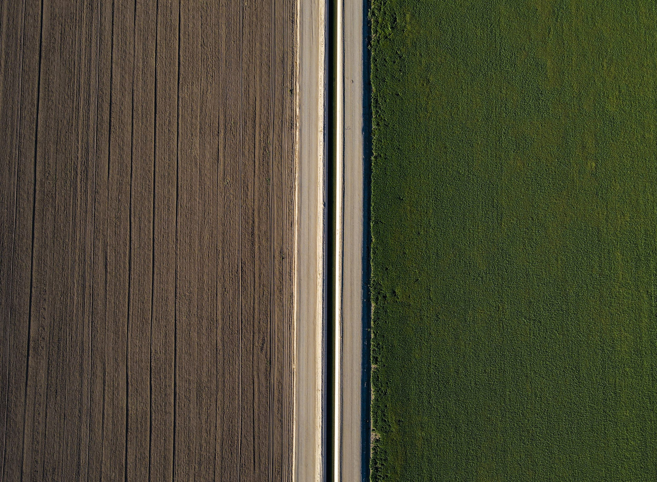  A fallowed field (left) is seen alongside a field of alfalfa separated by an irrigation canal on Debra Keenan's farmland in Ripley, Calif., Wednesday. The state’s fallow program pays farmers to not work their fields in order to conserve water from t
