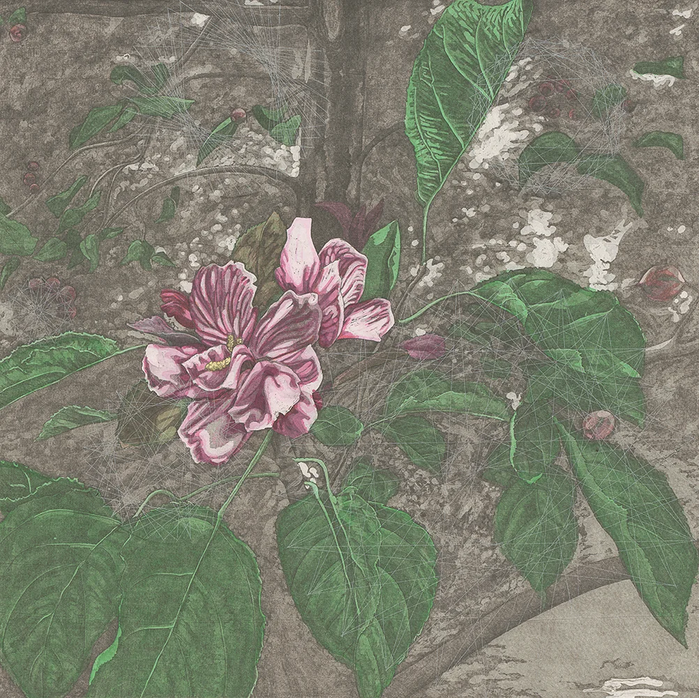 Late Bloomer