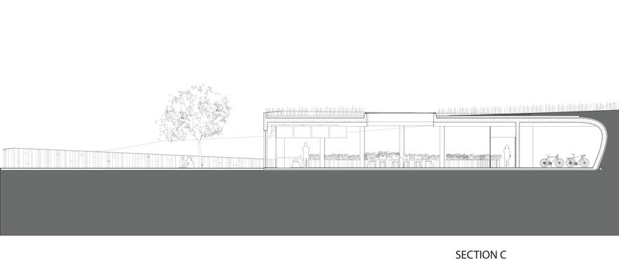 Section C: cut through work space carved into hill. Cedar wall emerges on left