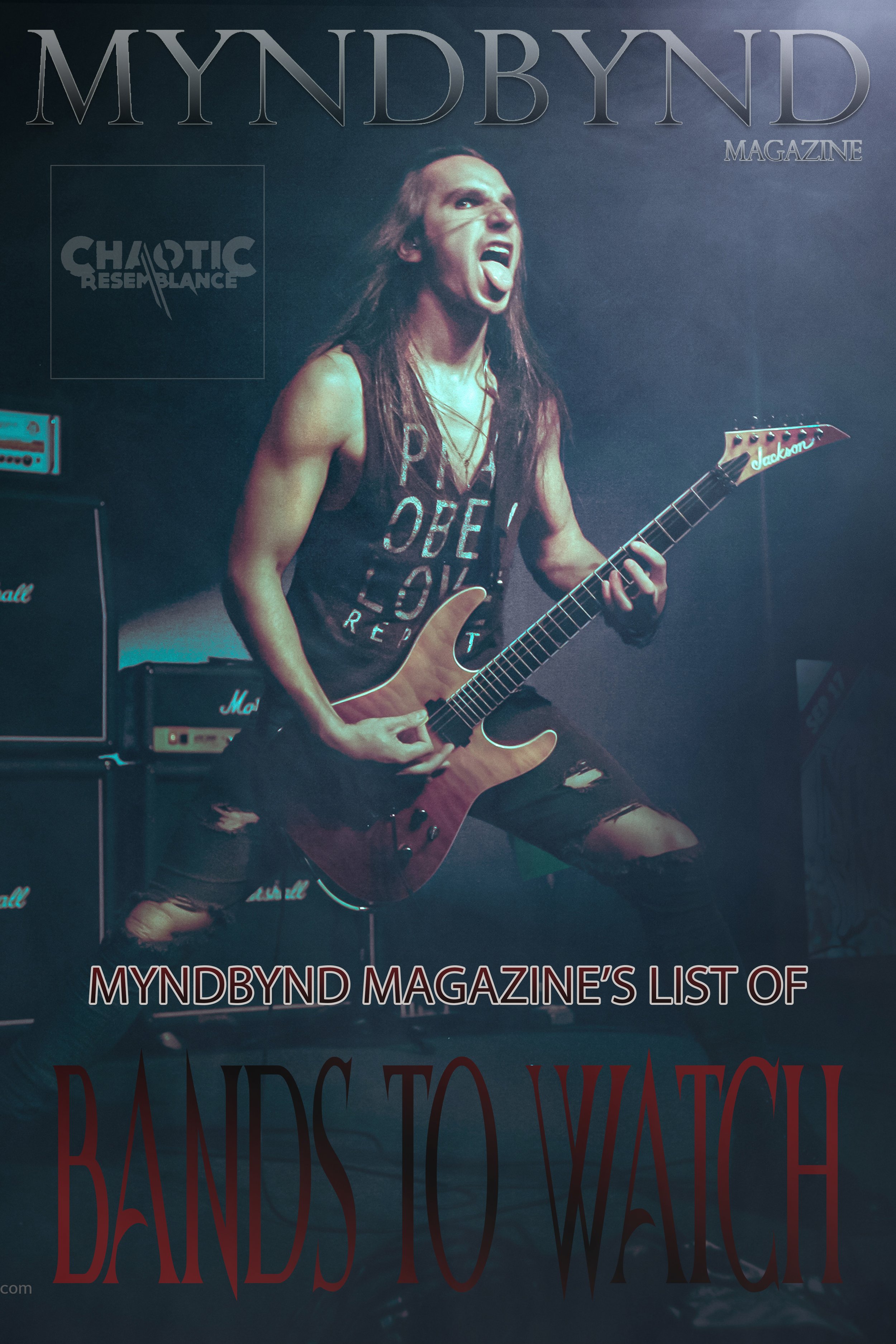 Bands To Watch Page.jpg