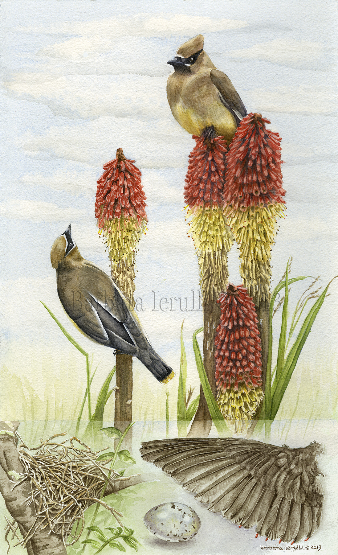 Red Hot Poker Banquet