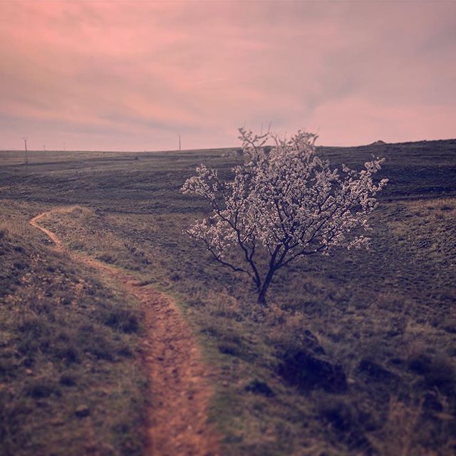 When the road beckons, one must not resist. Without the journey, there is no destination. #poetry #philosophy #lifestyle #生き方 #travel
