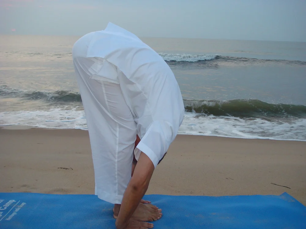 Pada Hastasana