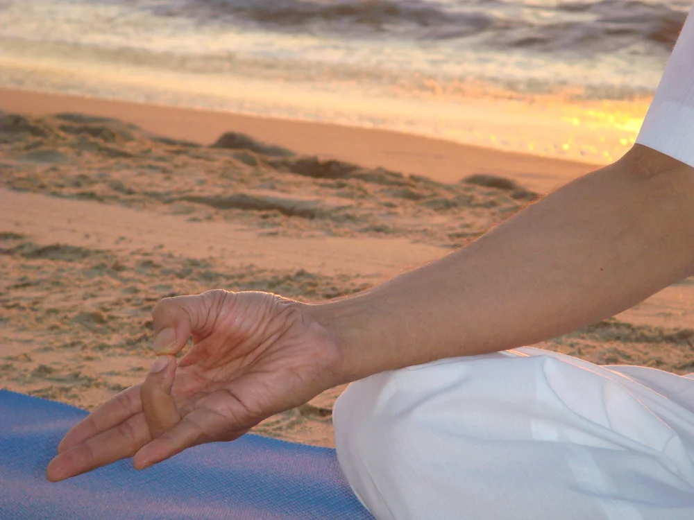 Prithvi Mudra