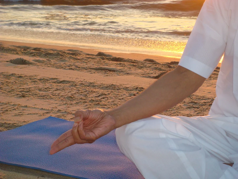 Shakti Mudra