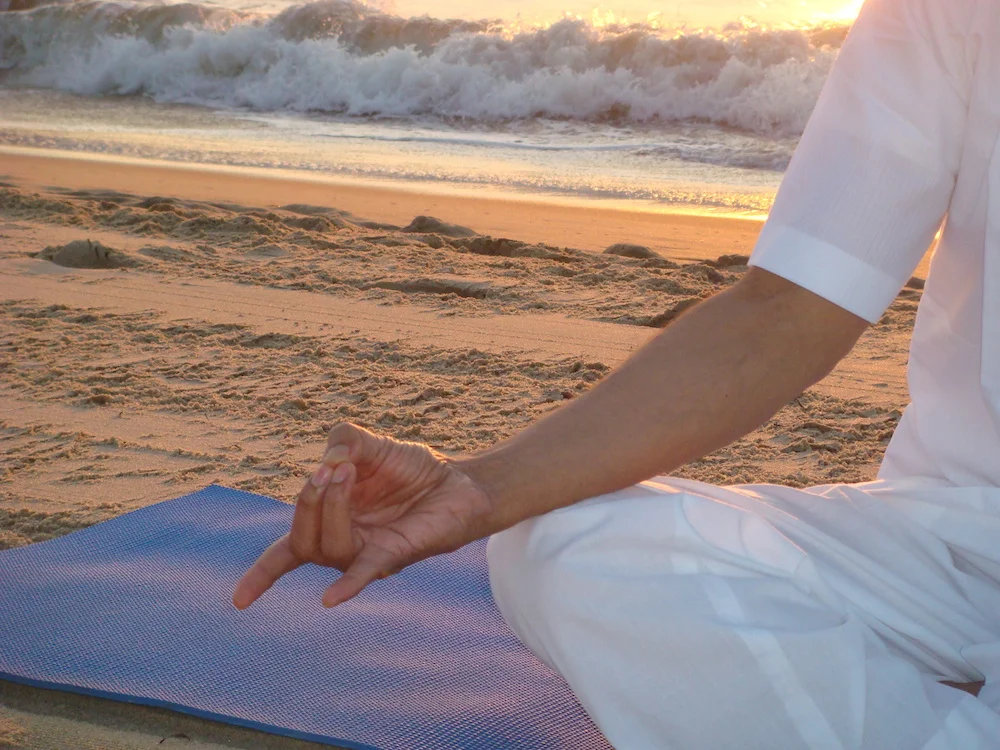 Apana Mudra