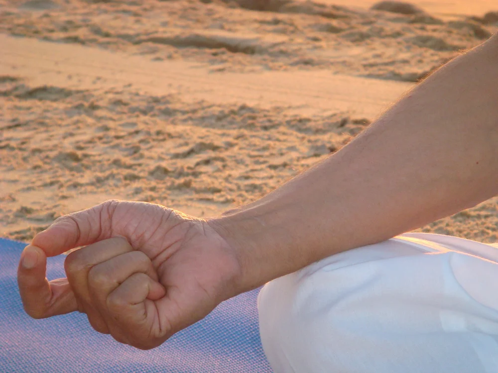 Chinmaya Mudra
