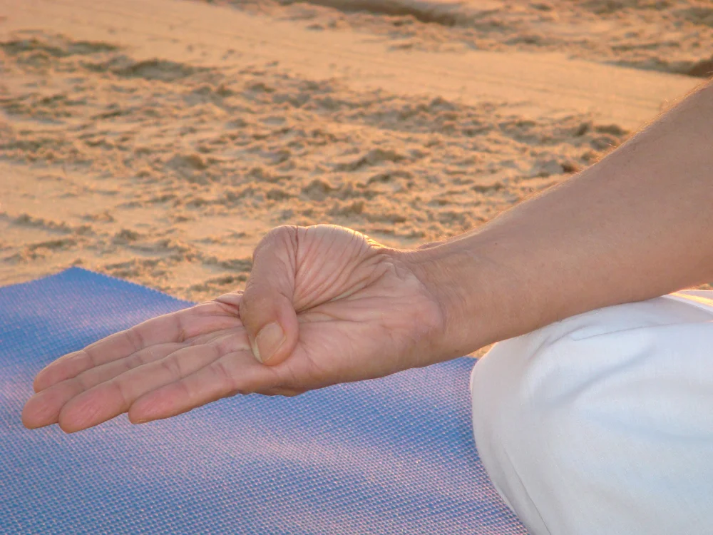 Adhi Mudra (1 of 2)