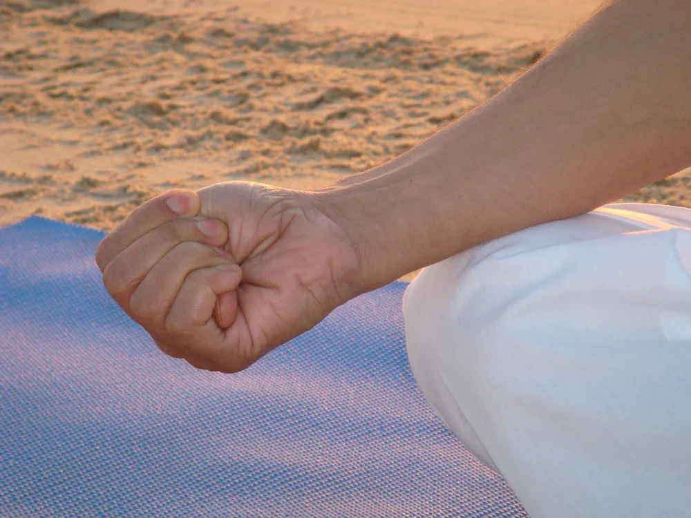 Adhi Mudra (2 of 2)