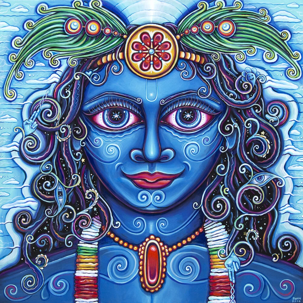 2016-John-Speaker-Krishna.jpg