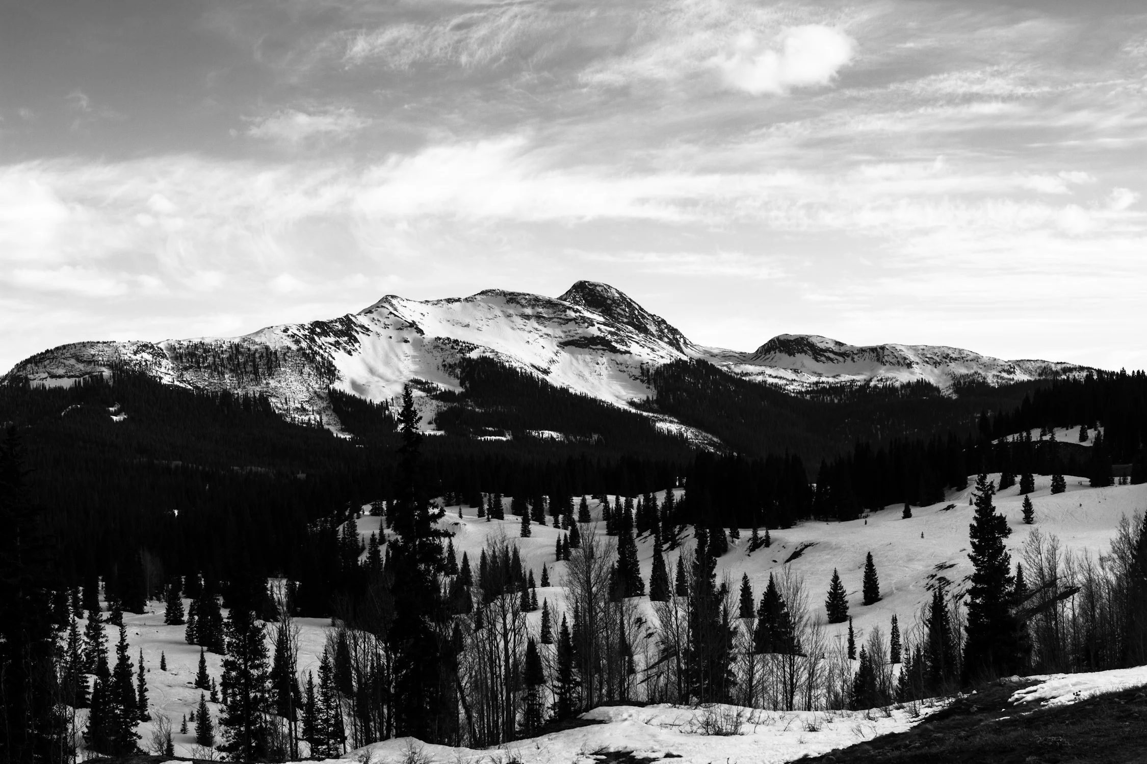 _MG_5699.jpg