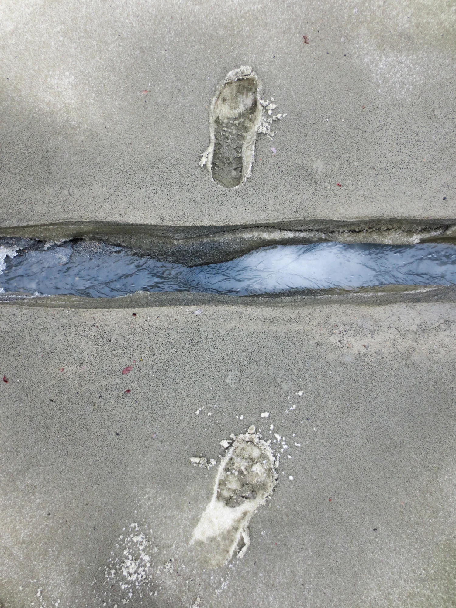 GlacierFootprints.jpg