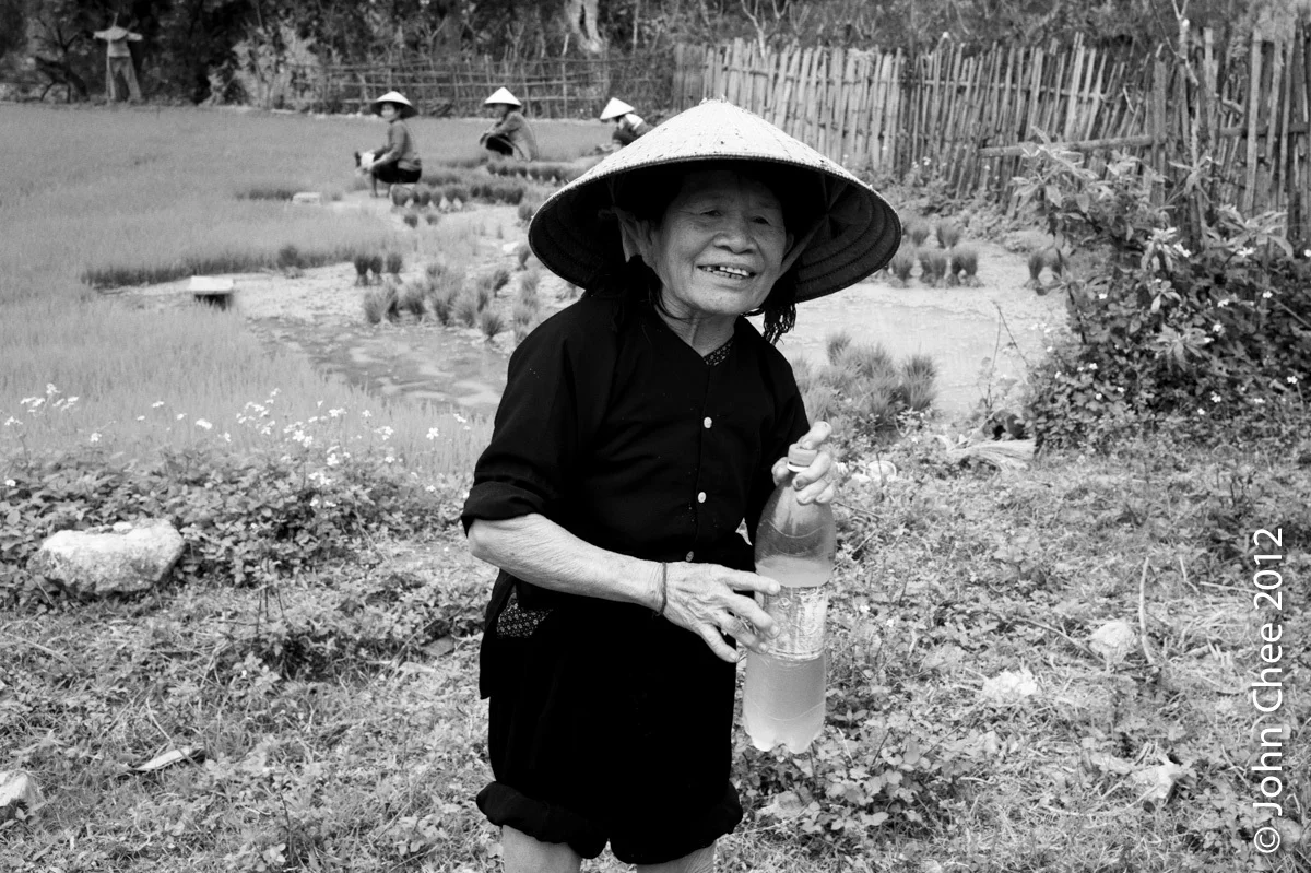 Rice Wine