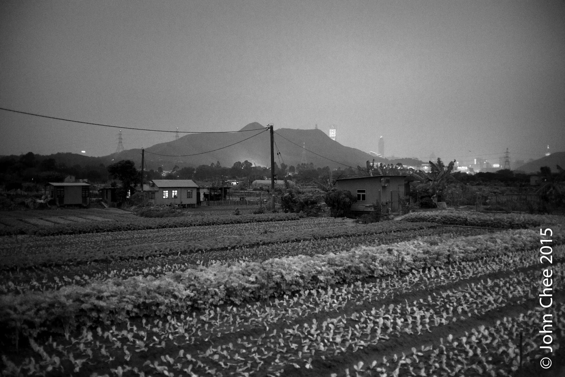 Vegetable field. On the other side of the mountain is Shenzhen, China, a highly developed city that is eager to swallow the farmlands in Kwu Tung. (Kwu Tung, Hong Kong) ( follow-up Blog Post )