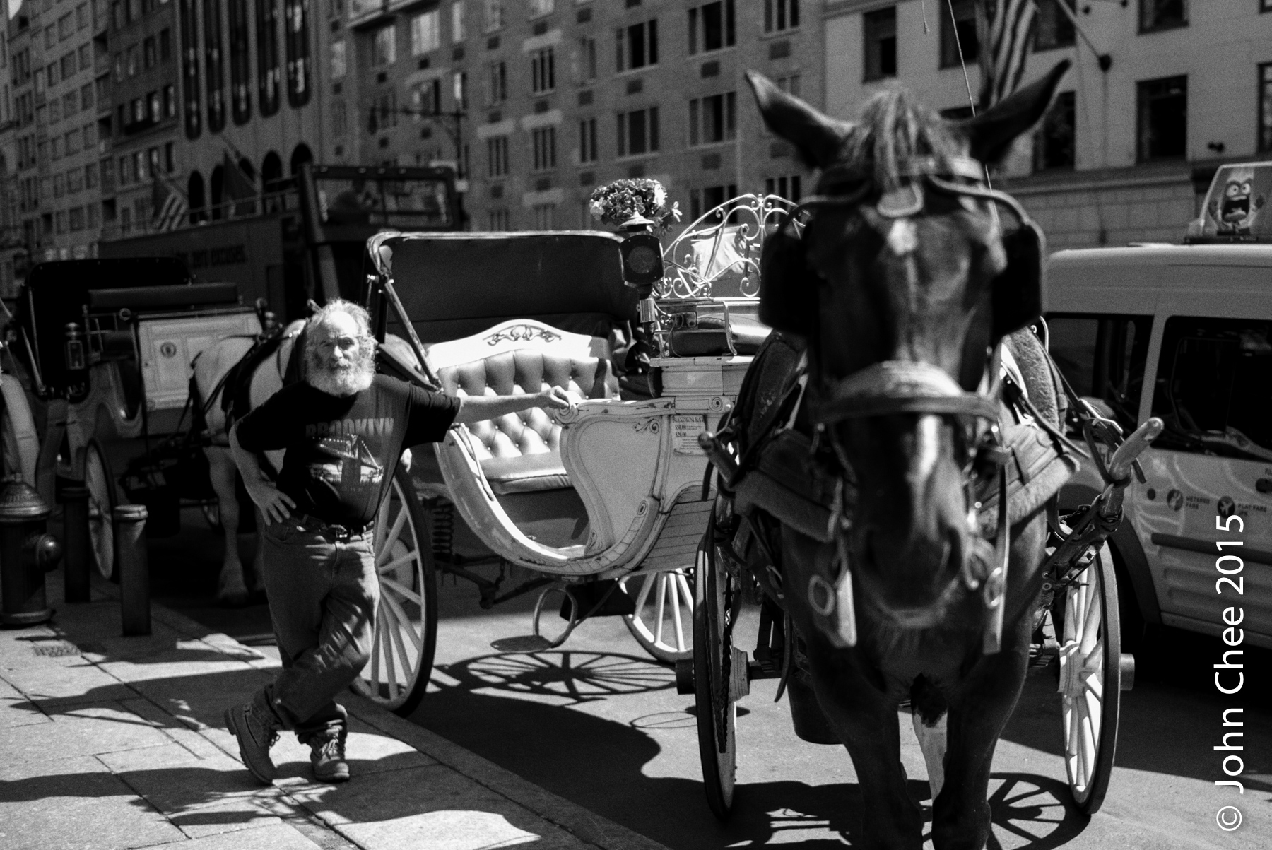Horse carriage #1. The horse carriage industry is under attack and may face elimination. Some real estate developers want to redevelop the lots currently occupied by horse stables owned by folks in the horse carriage industry. (Central Park, Manhattan, New York)
