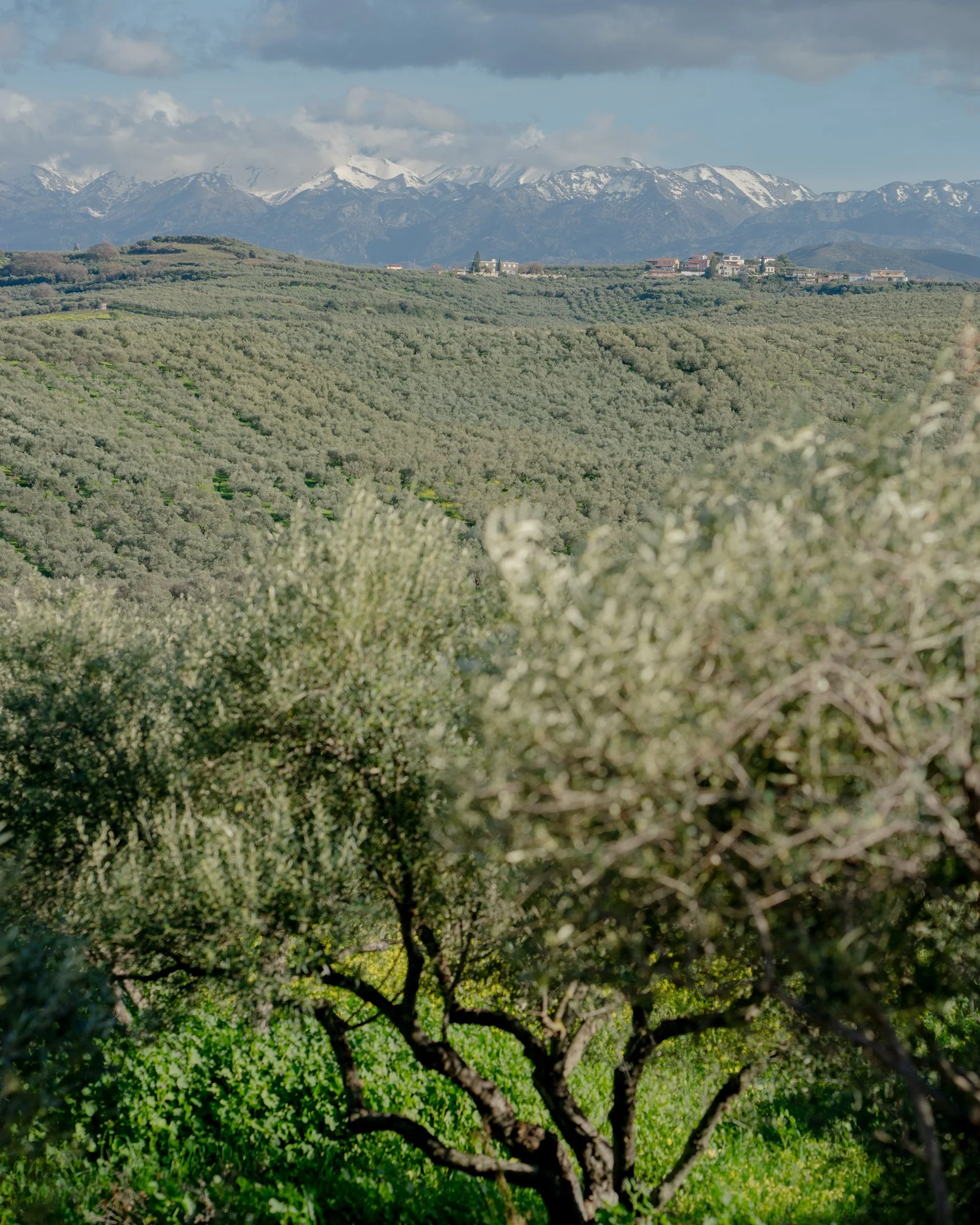 _DSC9538.JPG