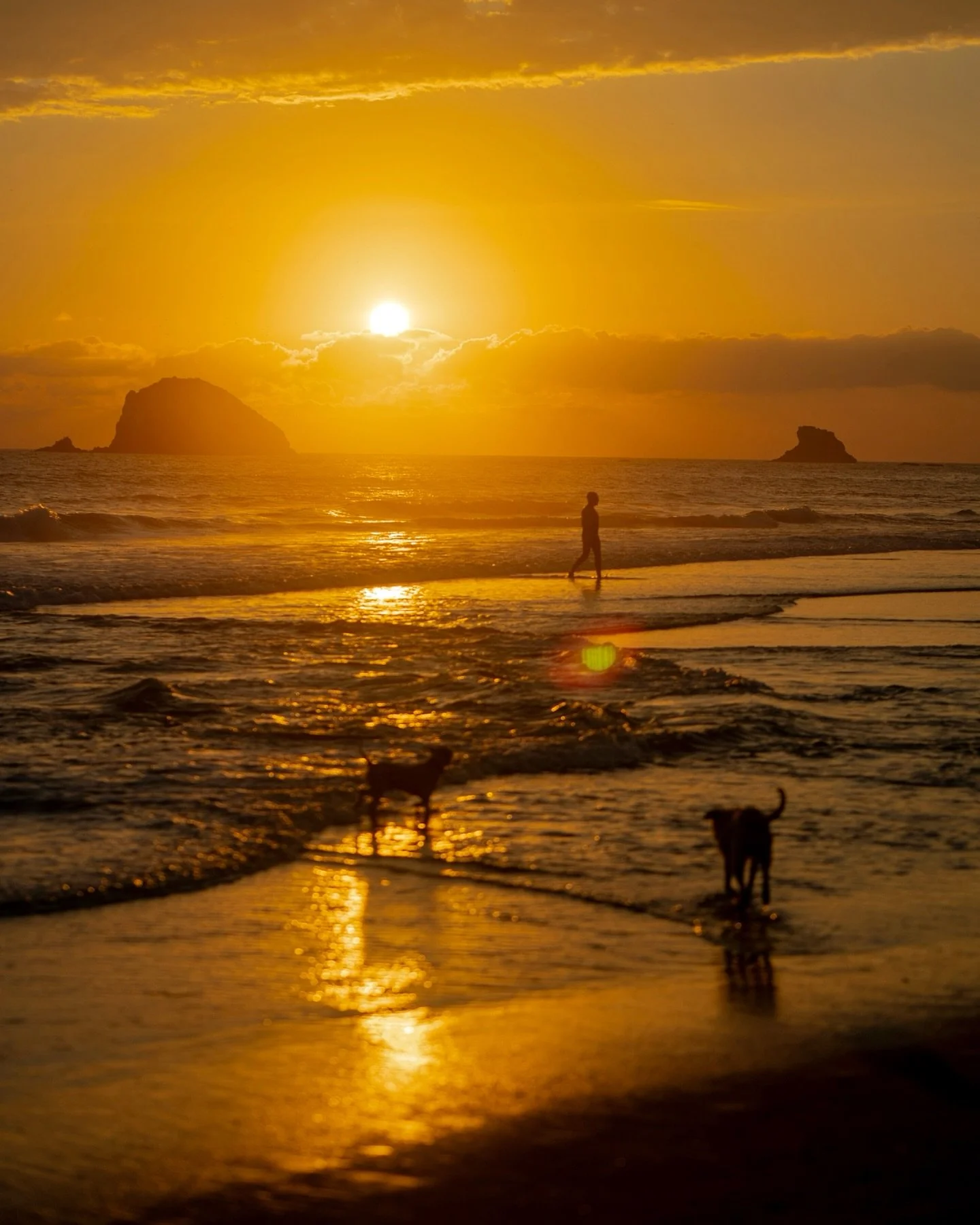 Playa Zipolite, Oaxaca during winter ☀️