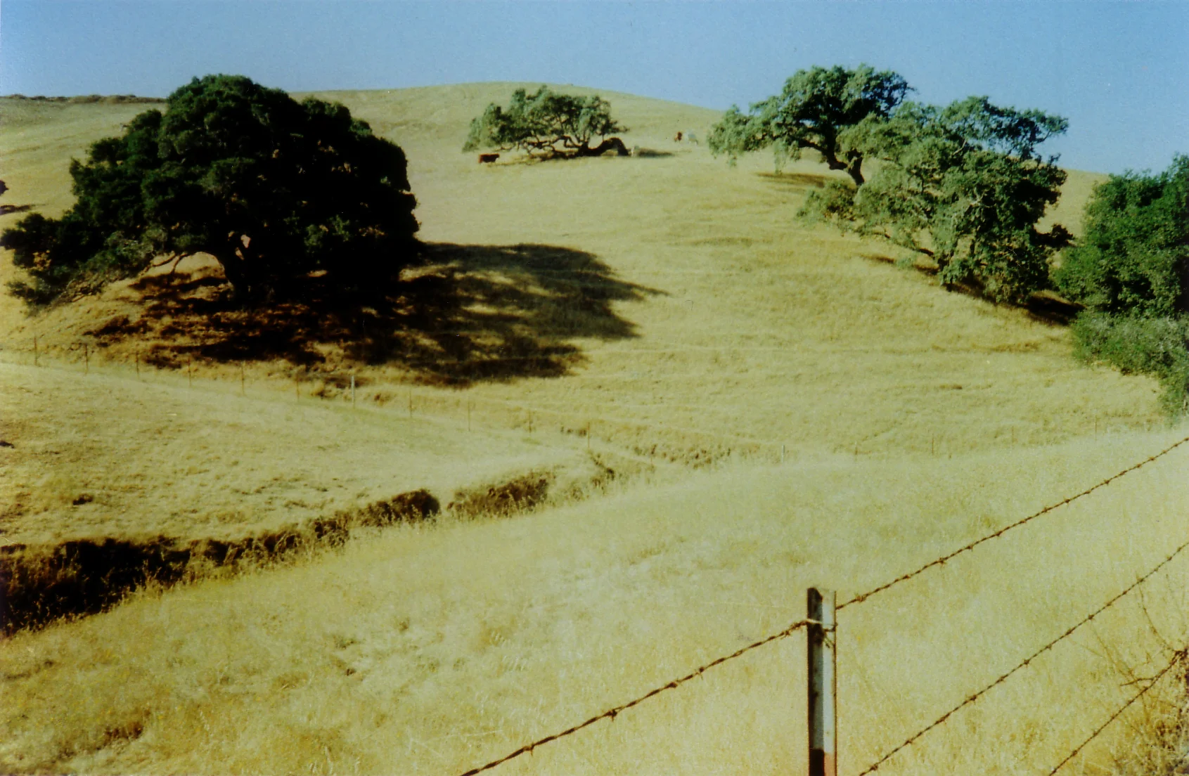Sonoma Ranch
