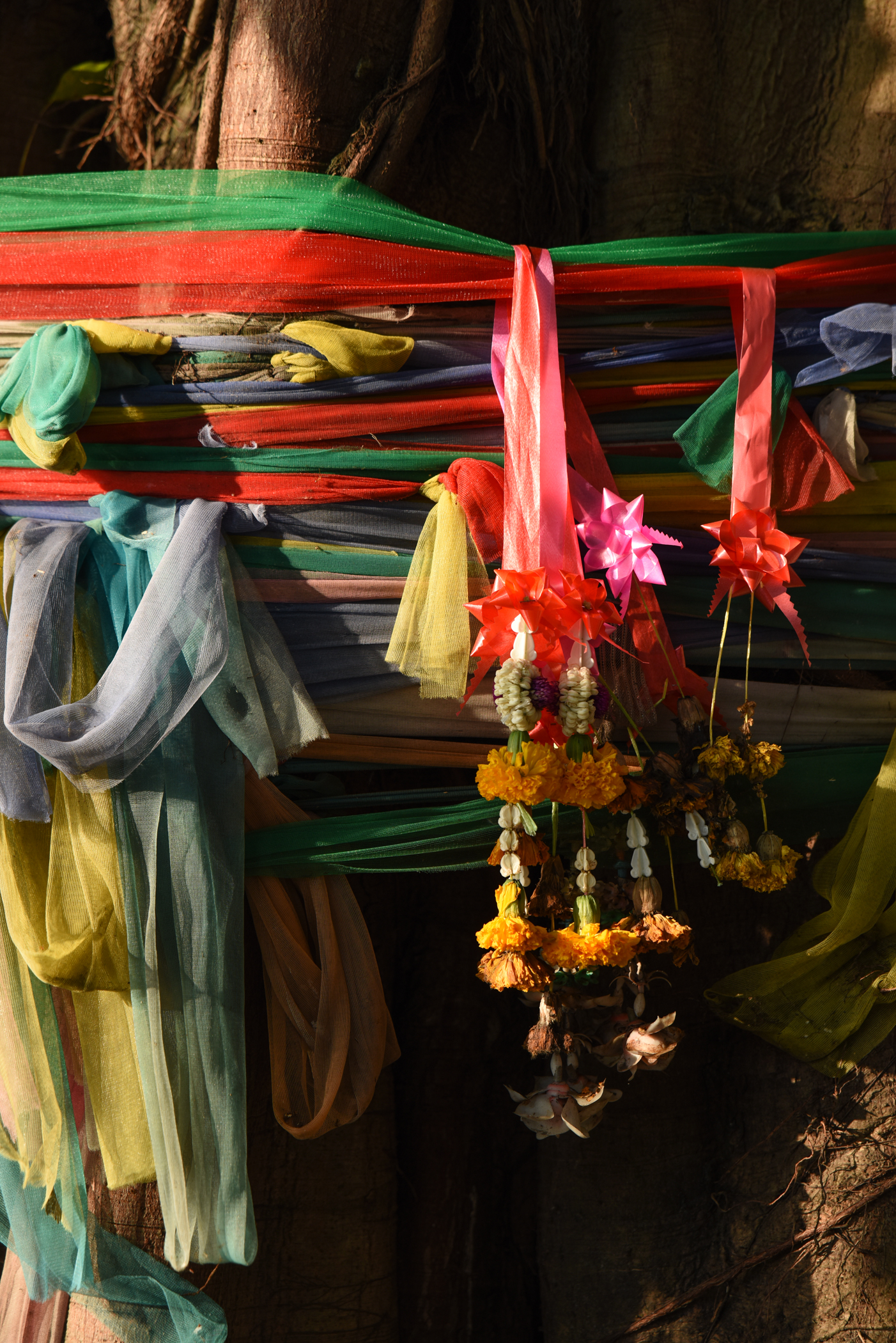 DSC - 8020 - 2-77 copy.JPG