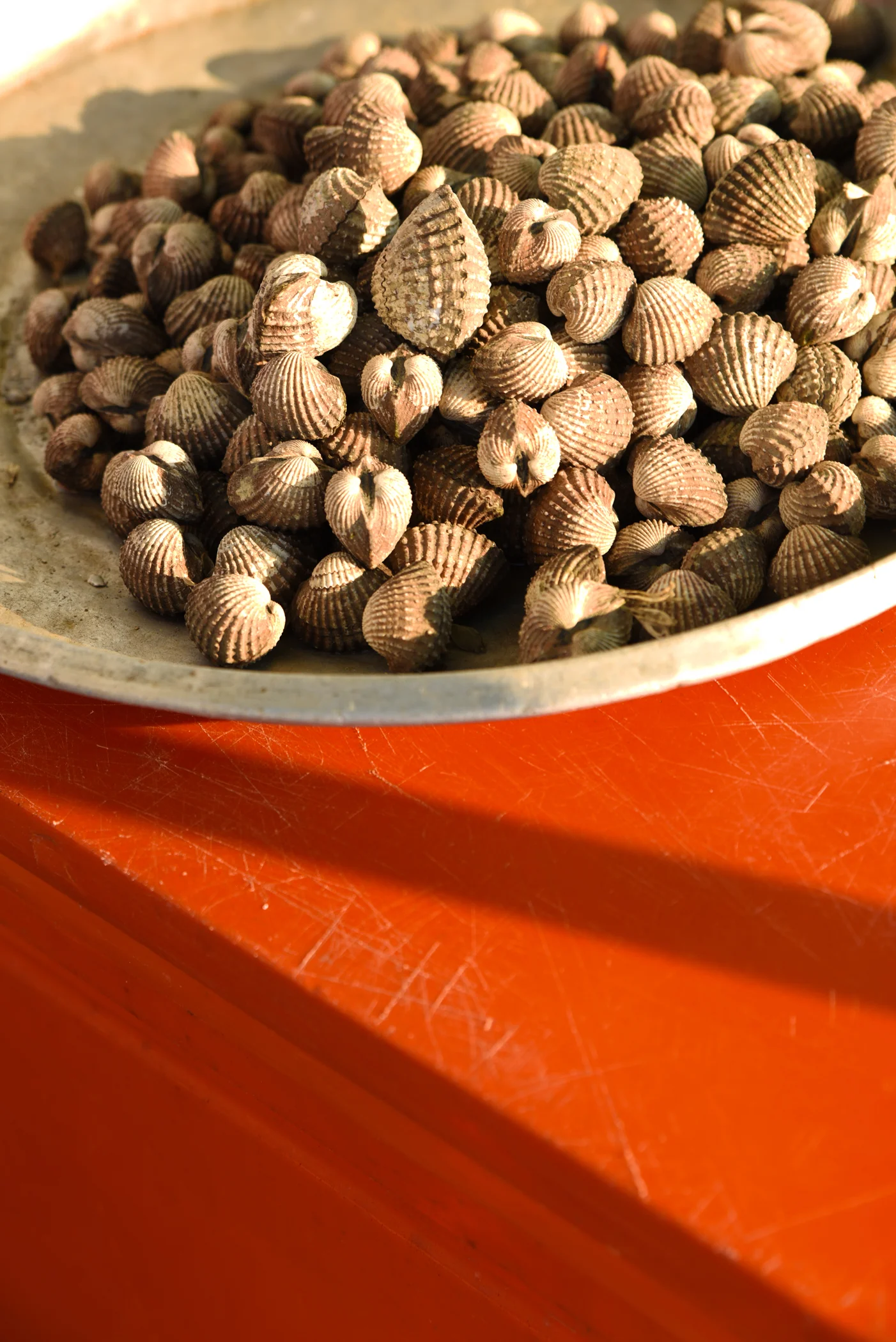 DSC - 8020 - 2-91 copy.JPG