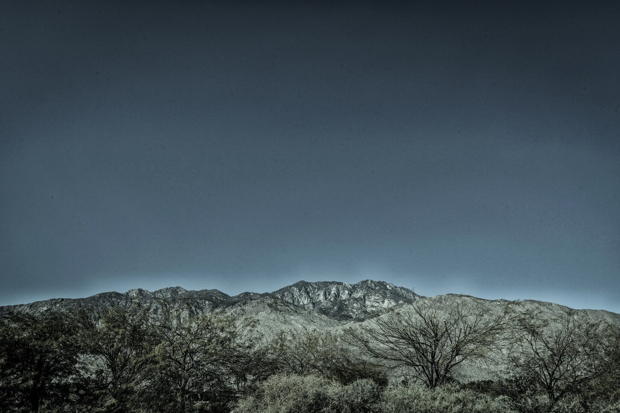Palm Springs Desert