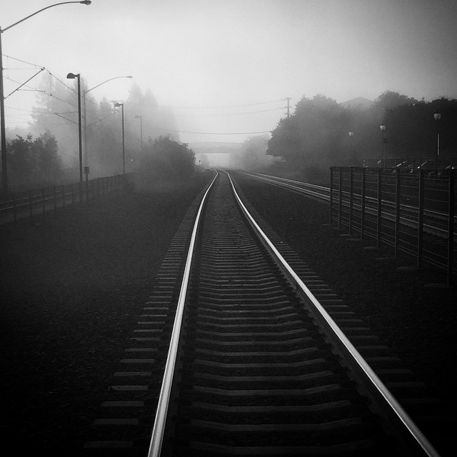 foggy tracks.jpg