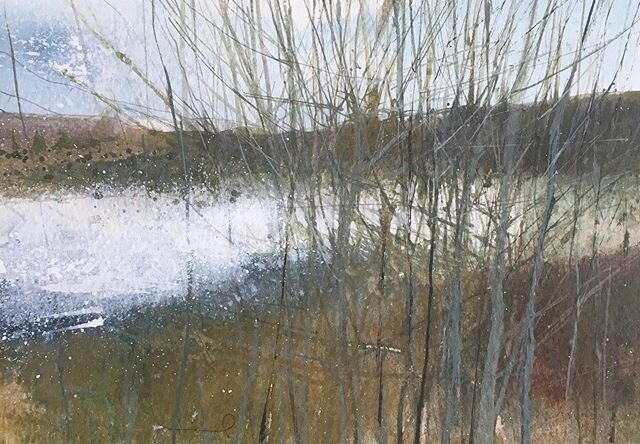 1. &lsquo;Wetland/Woodland 1&rsquo;
2. &lsquo;Wetland/Woodland 2&rsquo;
Mixed media on paper 20x14cm unframed &pound;120 (P&amp;P inc UK) offered for sale as part of #artistsupportpledge as started by @matthewburrowsstudio 
Now SOLD, thank you.. .

#