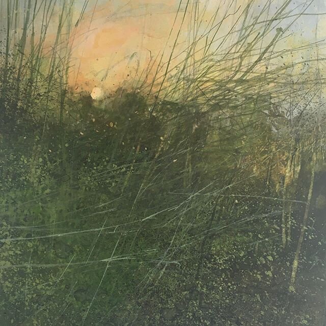 &lsquo;Sunset, marsh woodland..&rsquo; Mixed media on paper, unframed 20x20cm &pound;200 (P&amp;P inc UK) for #artistsupportpledge 
Please DM for further details, thank you.. .

#artsupportpledge #buyart #artforsale #landscapepainting #landscapeart #