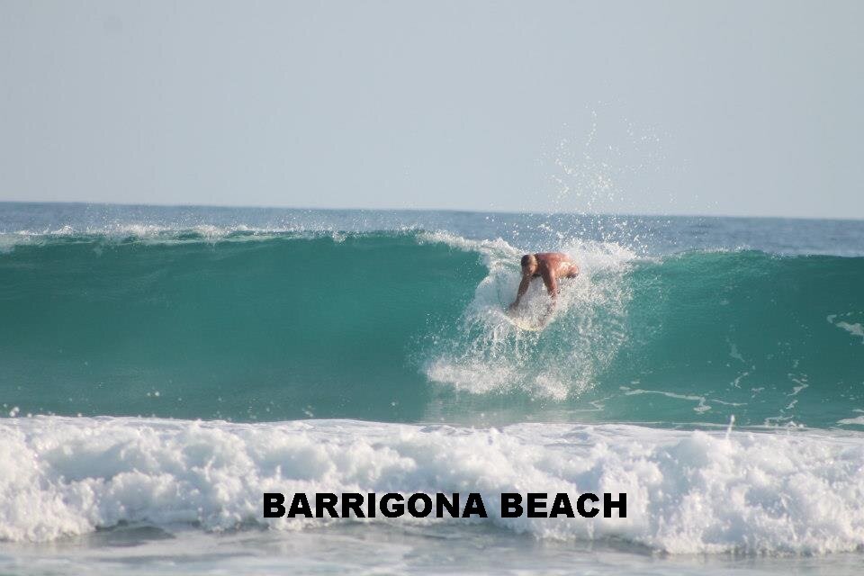 BARRIGONA 1.jpg