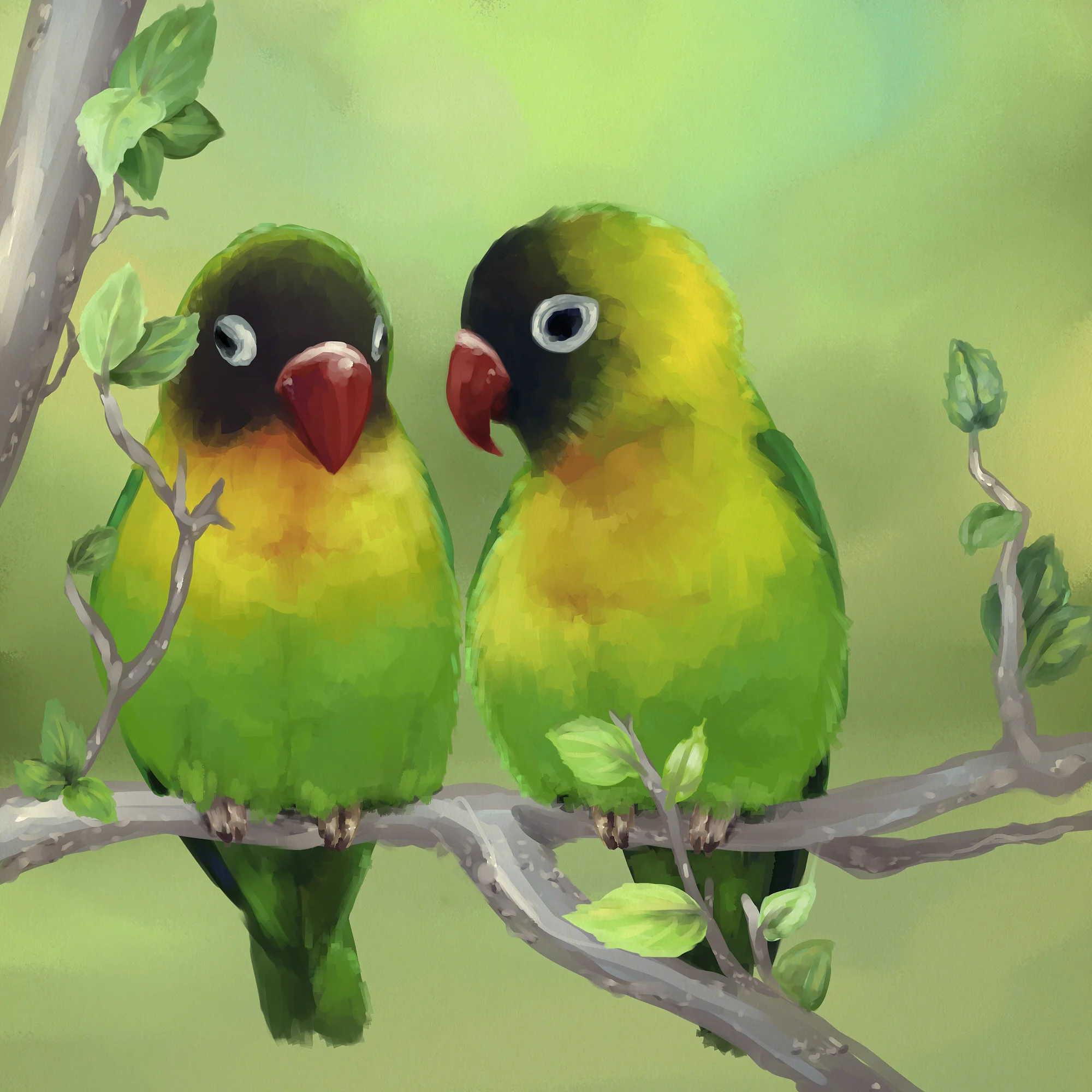 love-birds.jpg