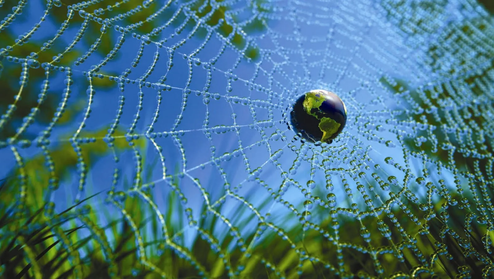 world-web.jpg