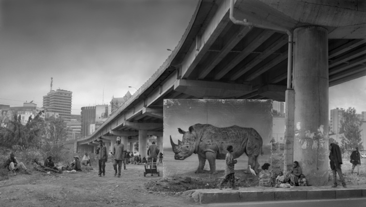 Underpass with Rhino and Egret (Photo by Nick Brandt)