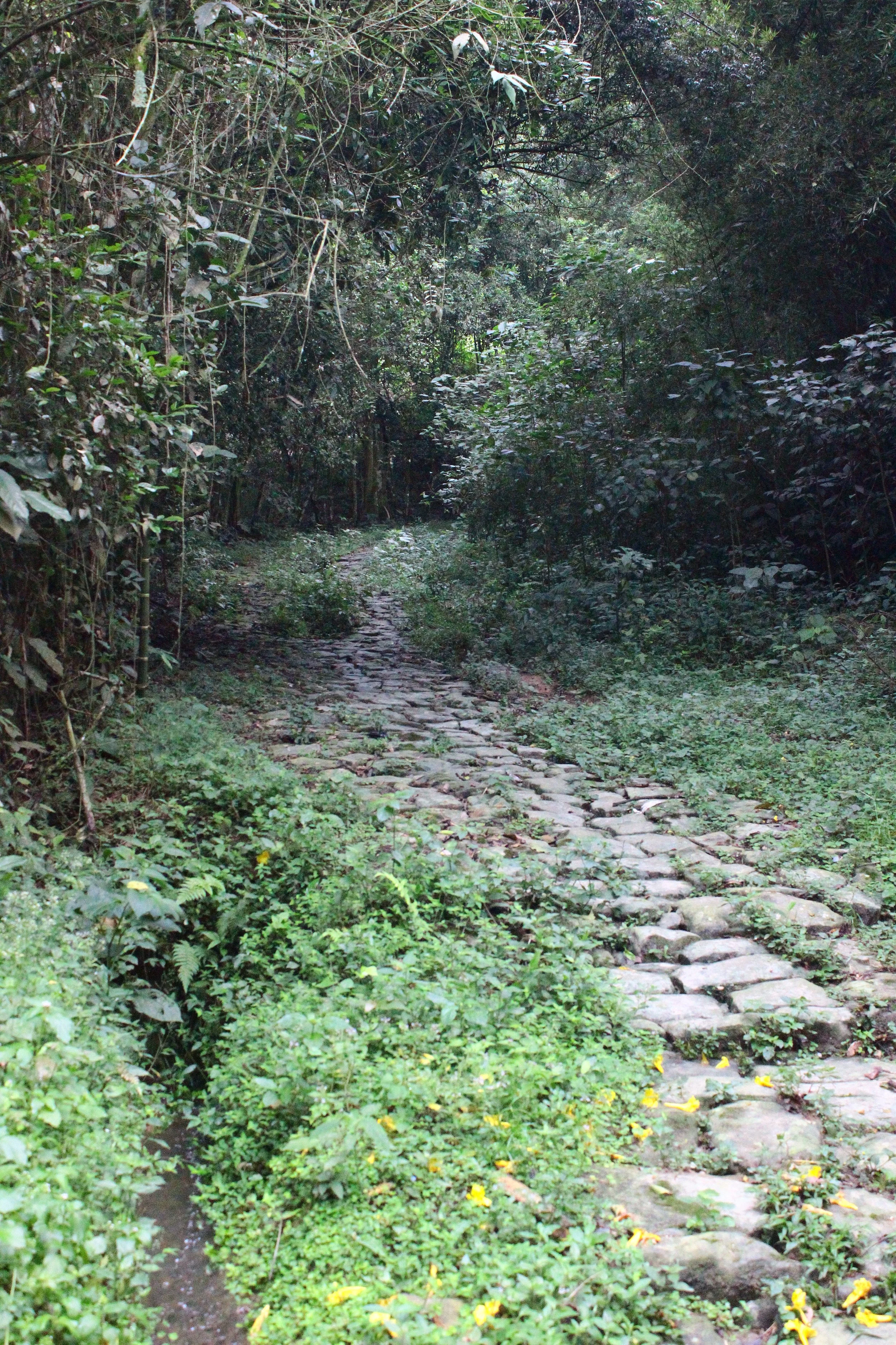  The Camino Real Sasaima Cundinamarca Colombia 