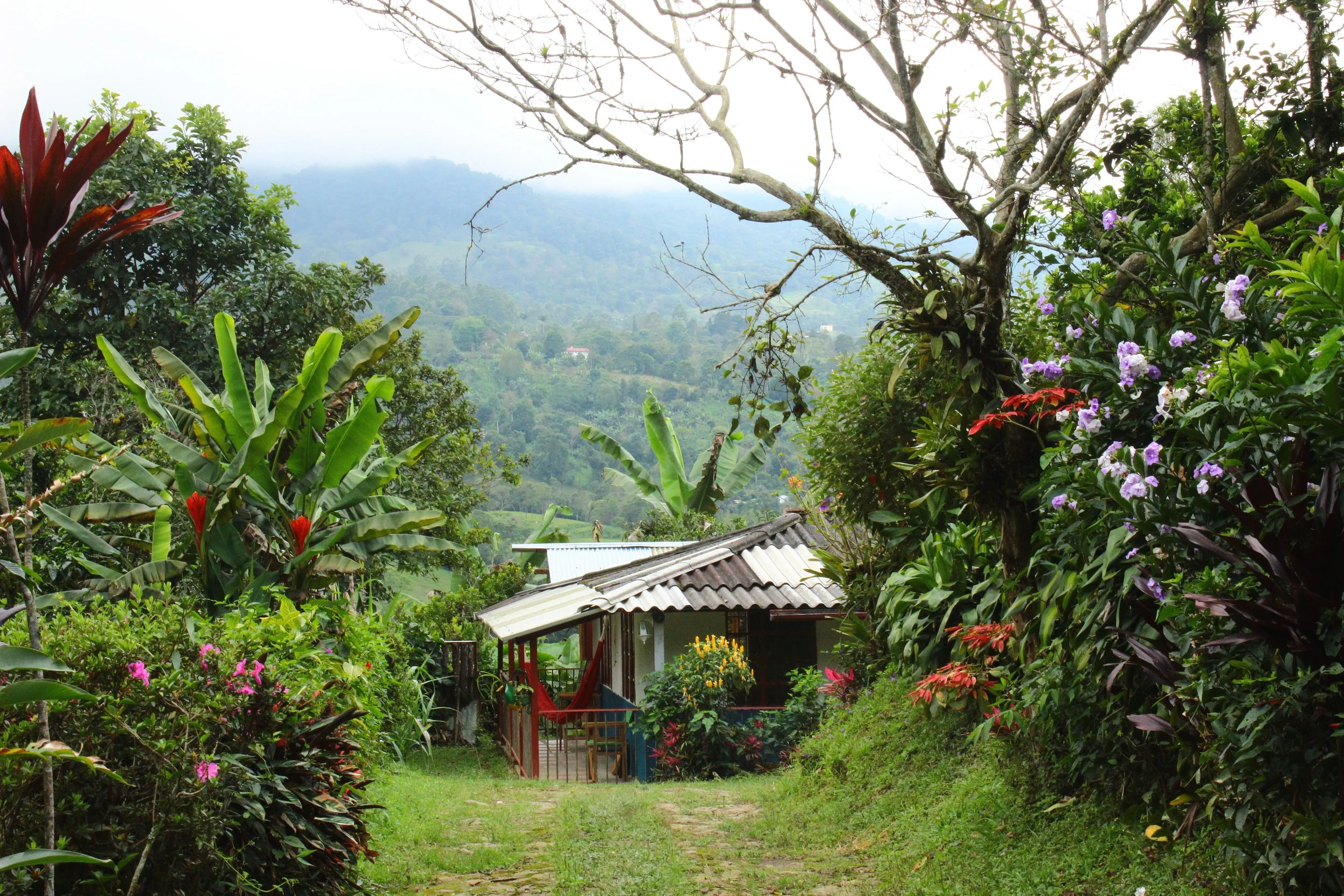  Villa Maria, Sasaima, Cundinamarca, Colombia 