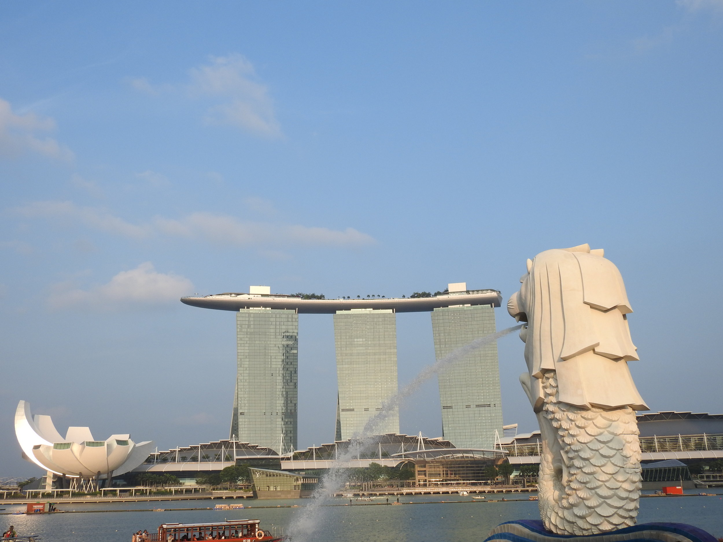 DSCN0079.jpg