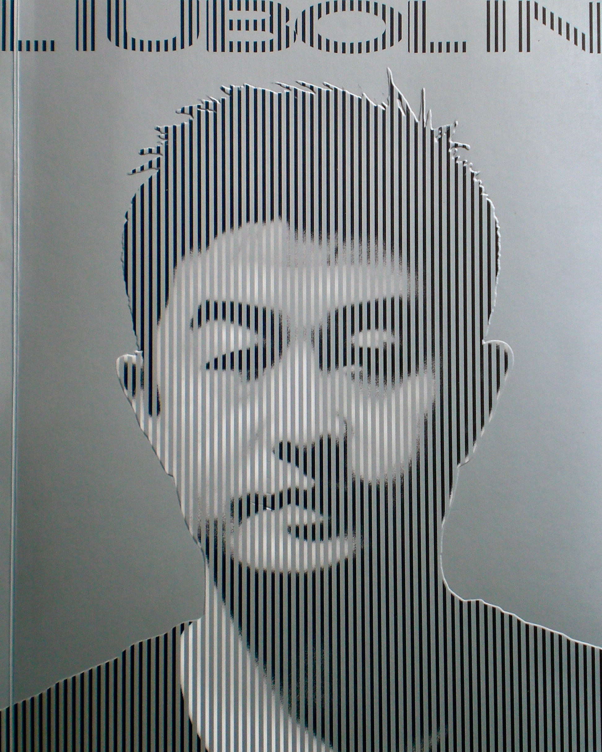 Cover of a 2008 book containing Liu’s work up to that year.