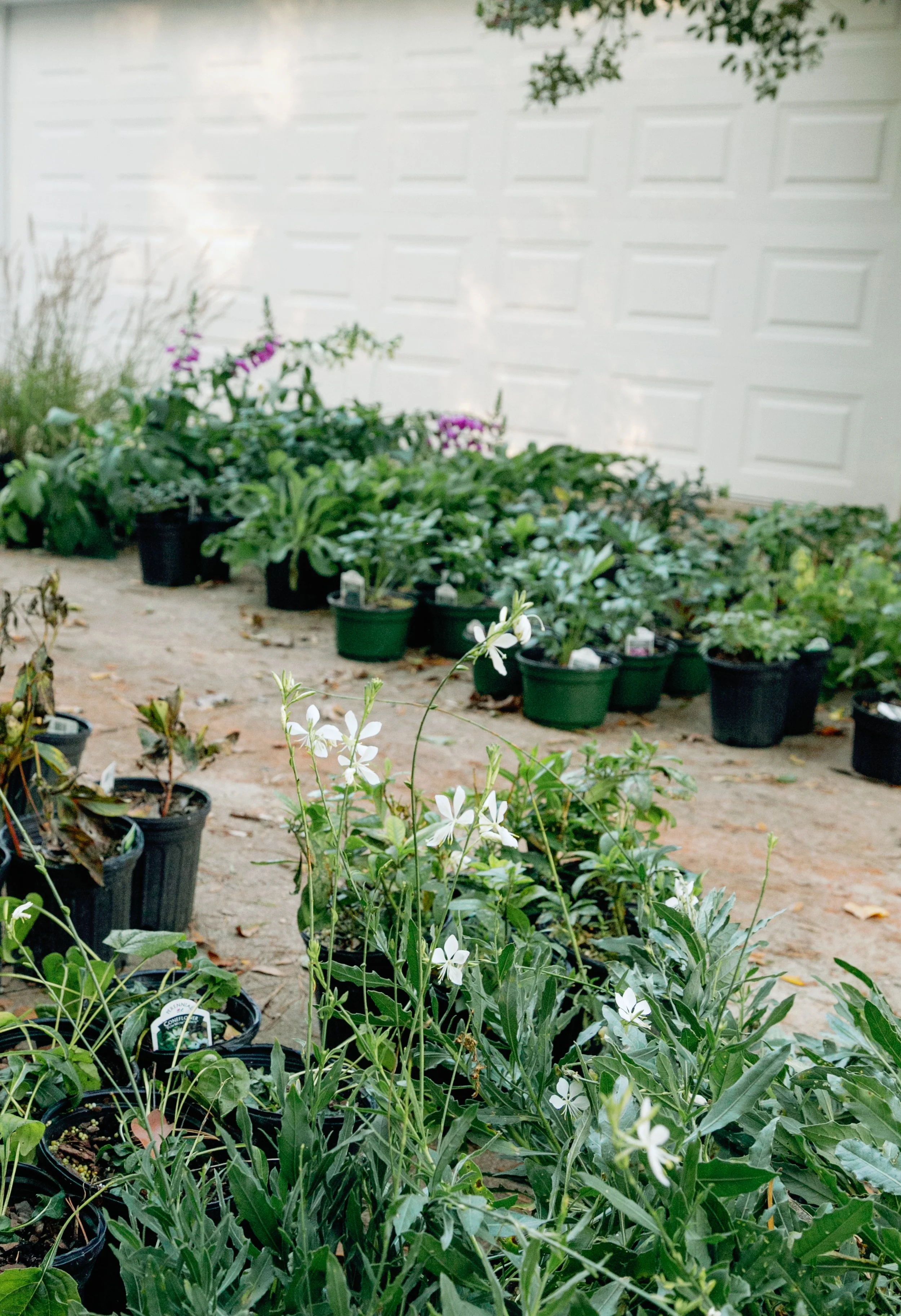 Ford Garden Install-10.jpg