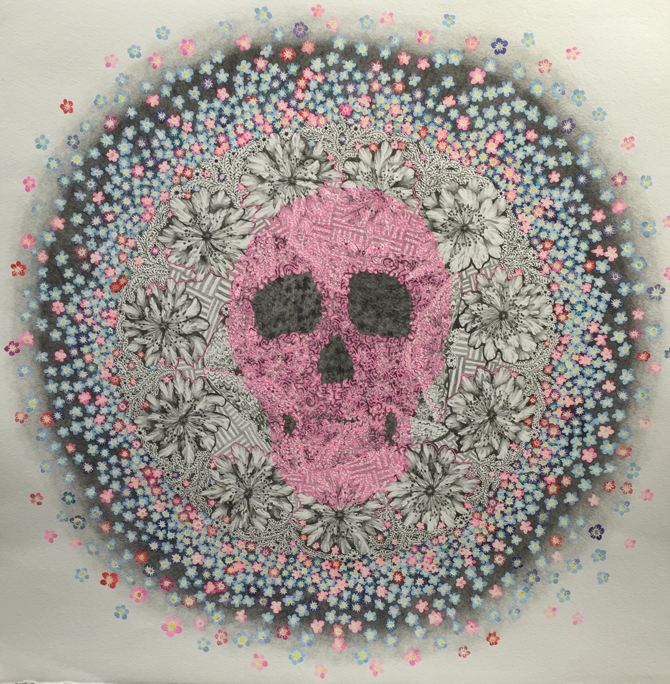 Pink Skull - Ink and g raphite on paper - 24" x 24"