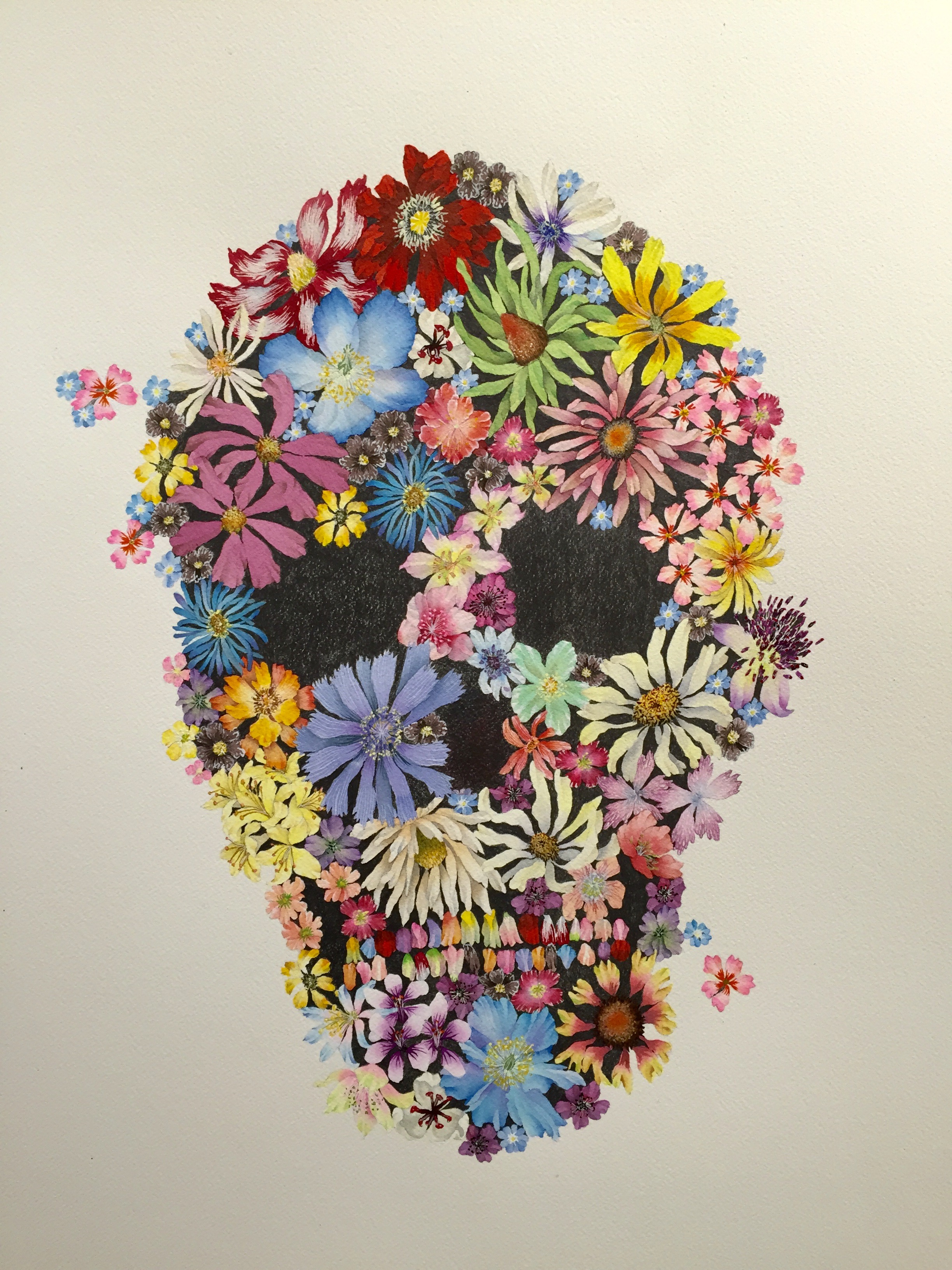 Flower Skull - Ink and graphite on paper - 24" x 24" SOLD