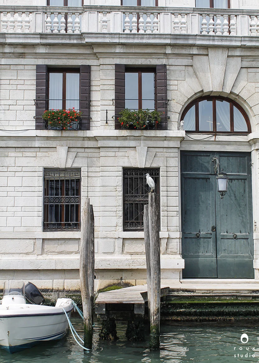 from the grand canal venice, italy | april 2014