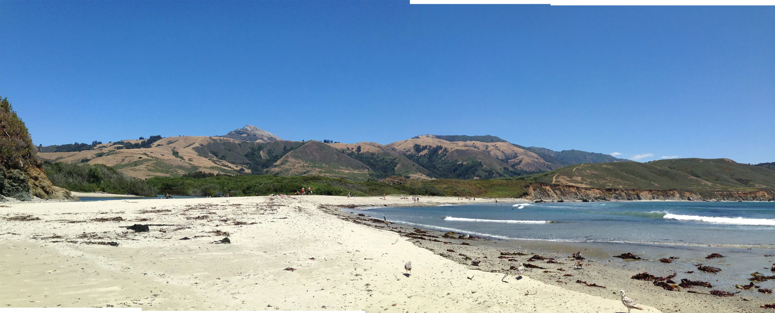 Where the ocean meets the river, Andrew Molera Beach