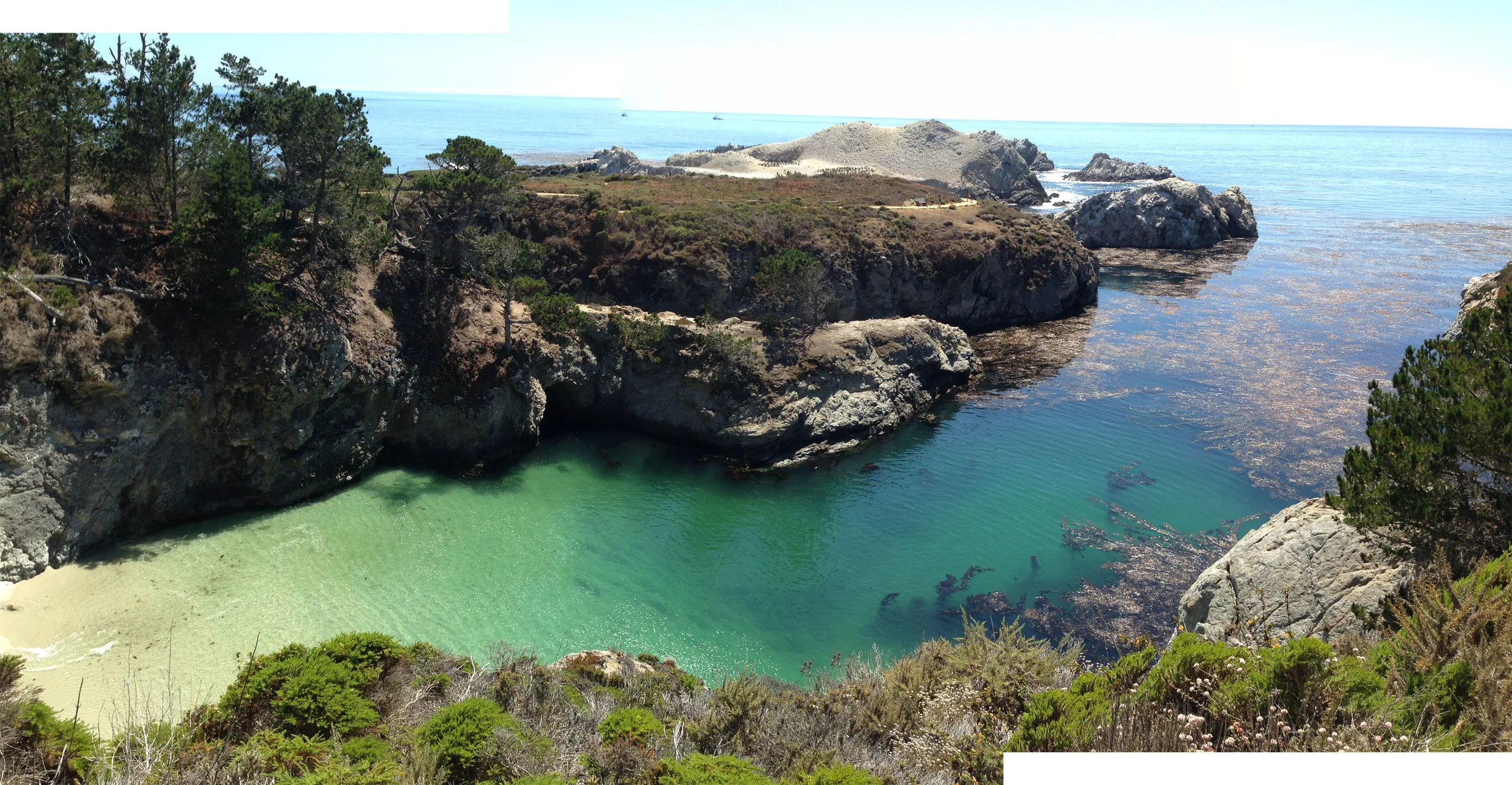 Point Lobos "China Cove" and Bird Island in the distance; aka poopy apocolypse
