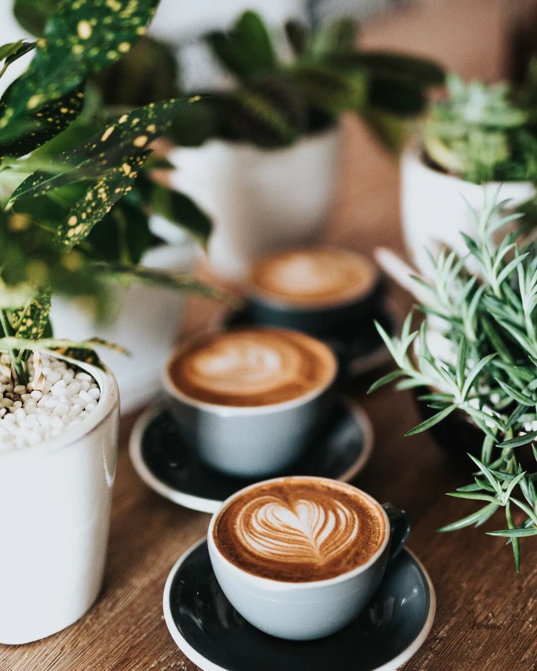 Happy international coffee day, take a moment on this day to enjoy a cup of coffee and take time to connect with others.
.
.
.
.
#elvoyagecoffee #elvoyage #coffee #groundcoffee #wholebeancoffee #guatemalacoffee #socialimpact #businessthatdoesgood #na