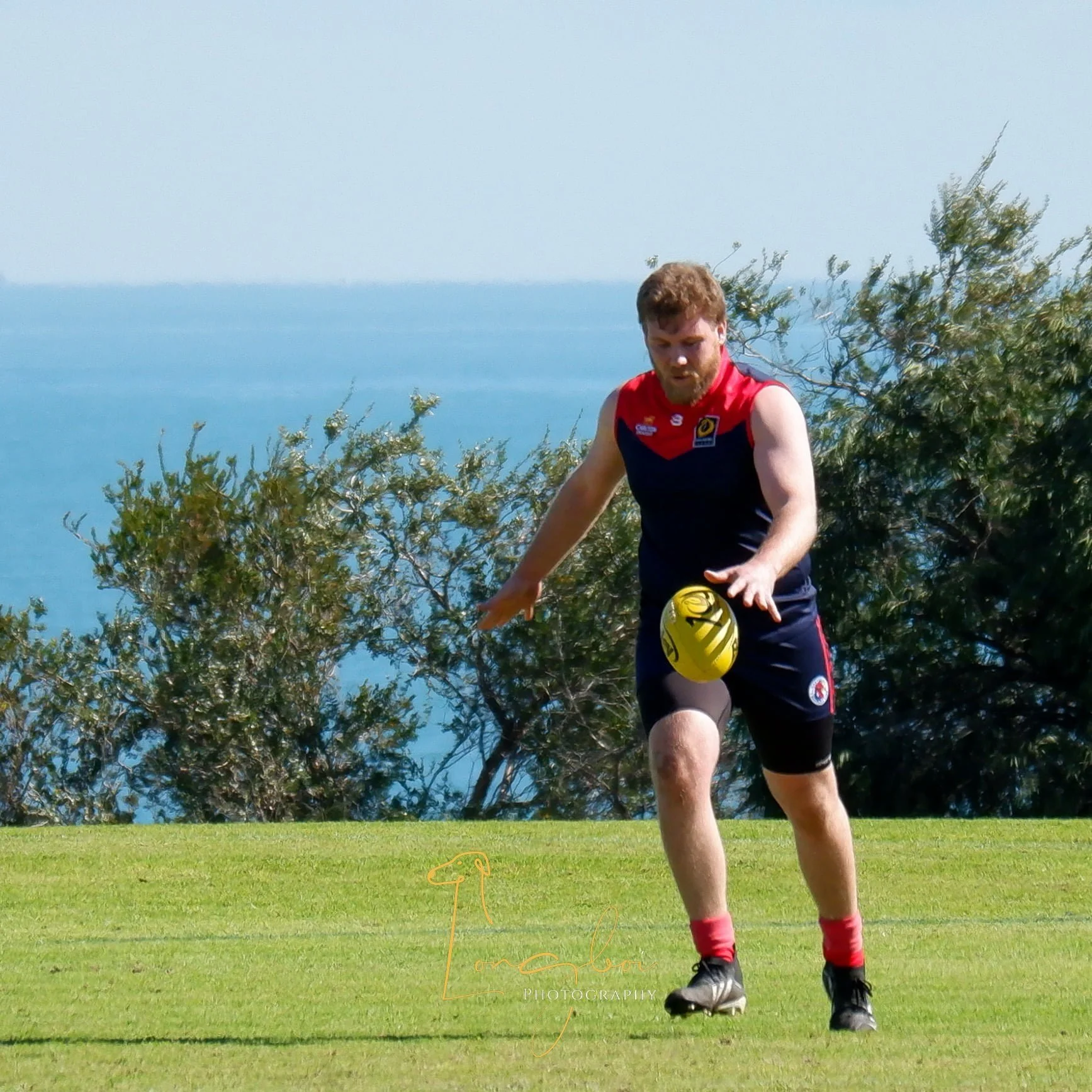 Lachlan Robinson.jpg