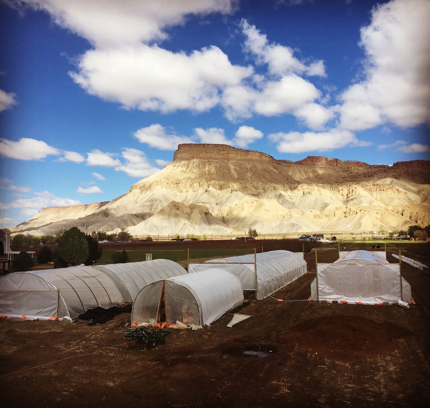Field To Fork Palisade Co Fieldtoforkcsa